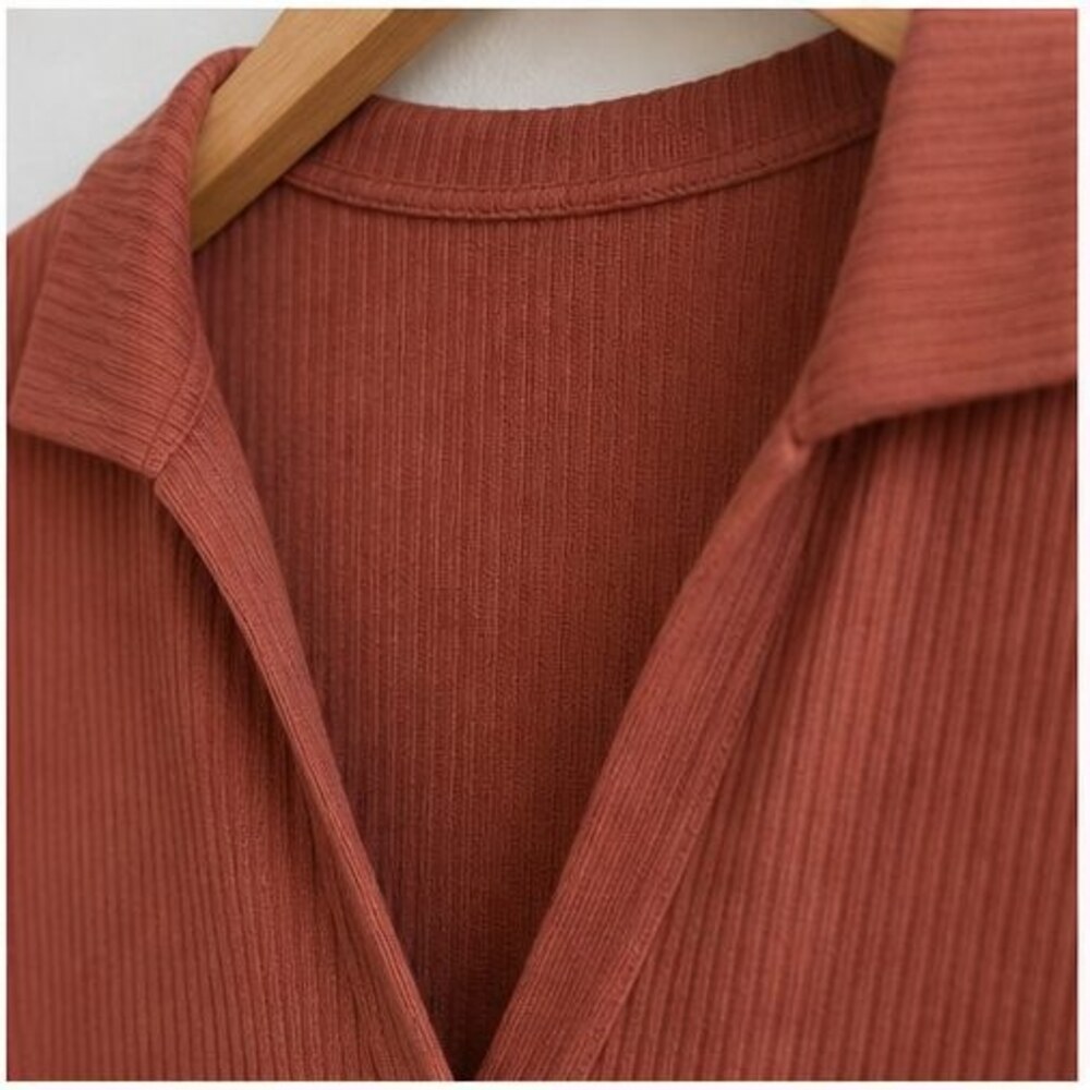 Rust V Neck Top - Picture 4 of 6